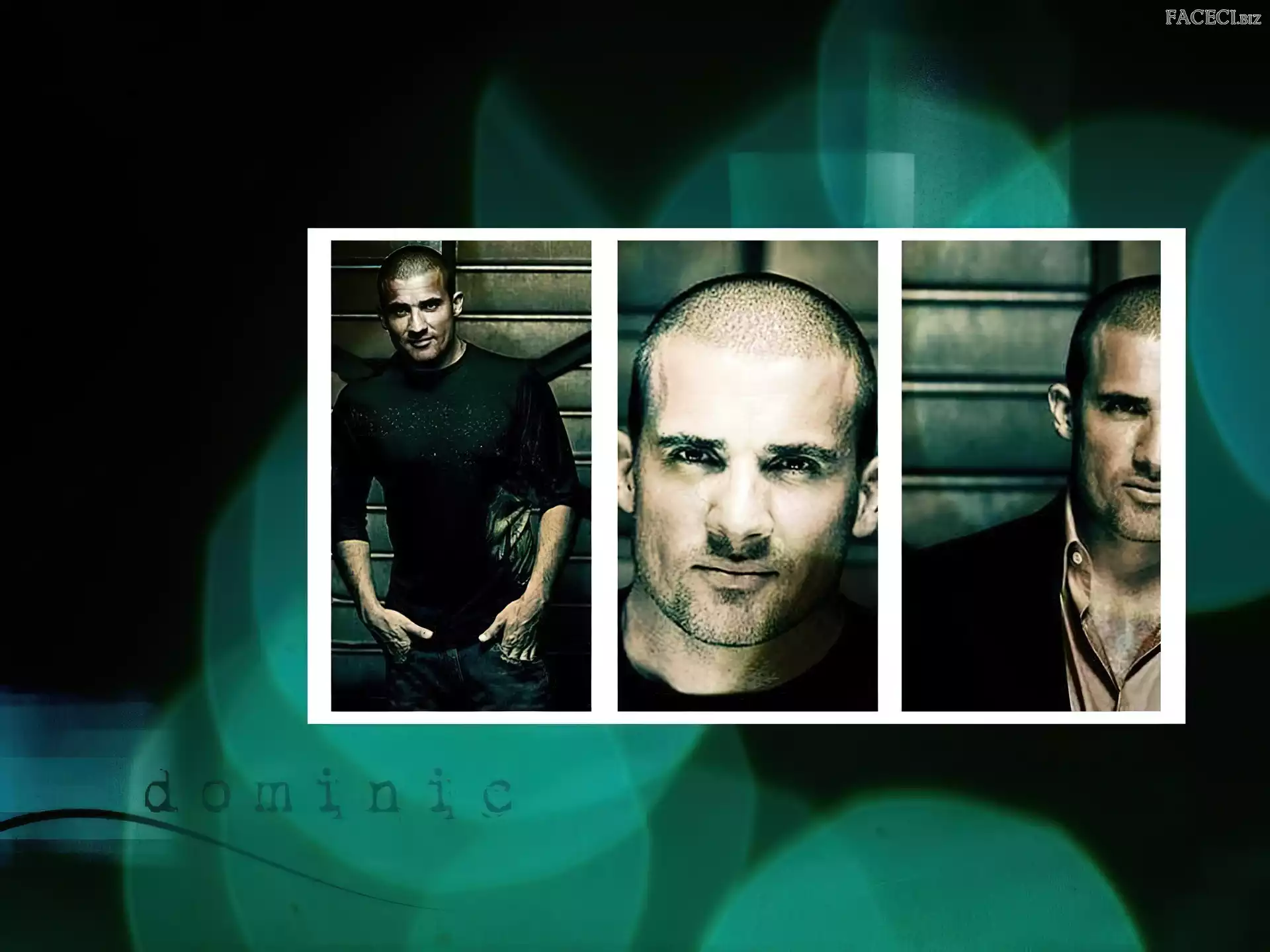 Skazany na śmierć, Dominic Purcell, Prison Break, zdjęcia